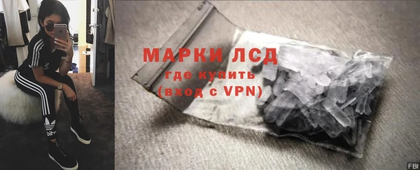 стафф Новодвинск