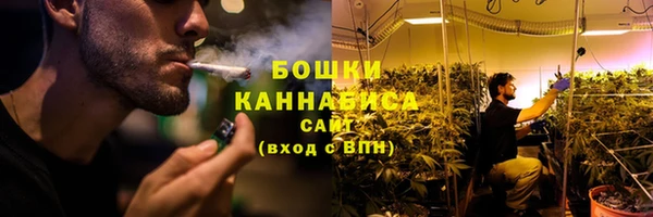 стафф Новодвинск