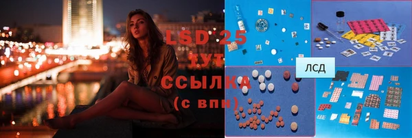стафф Новодвинск