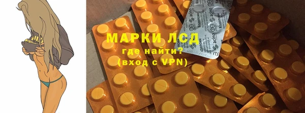 гашик Няндома