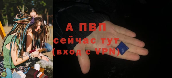 спиды Новокубанск