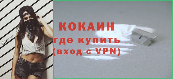 гашик Няндома