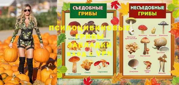 стафф Новодвинск