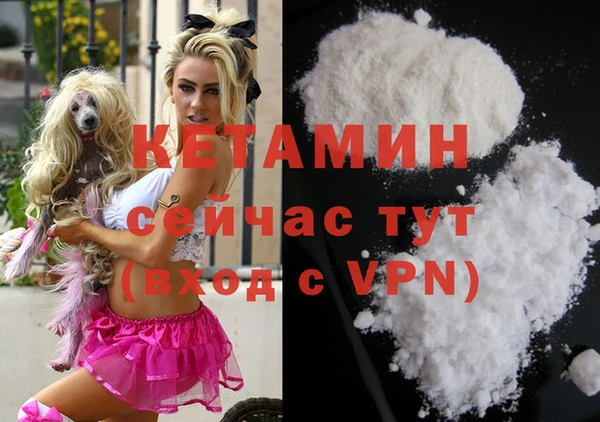 стафф Новодвинск