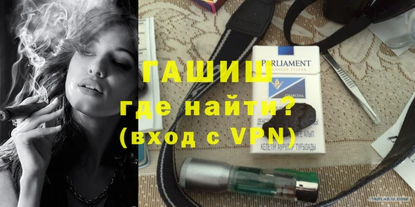гашик Няндома