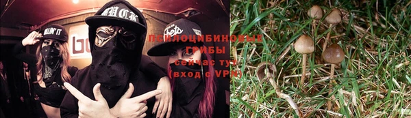 винт Билибино