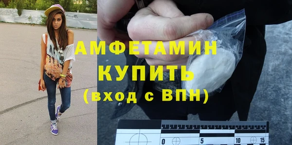 стафф Новодвинск