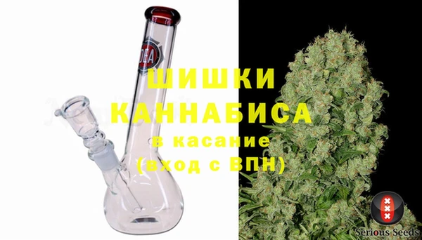 PSILOCYBIN Новозыбков