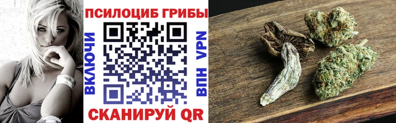 Псилоцибиновые грибы мицелий Торопец
